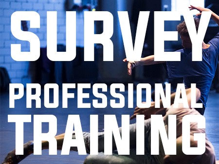 Survey on professional training